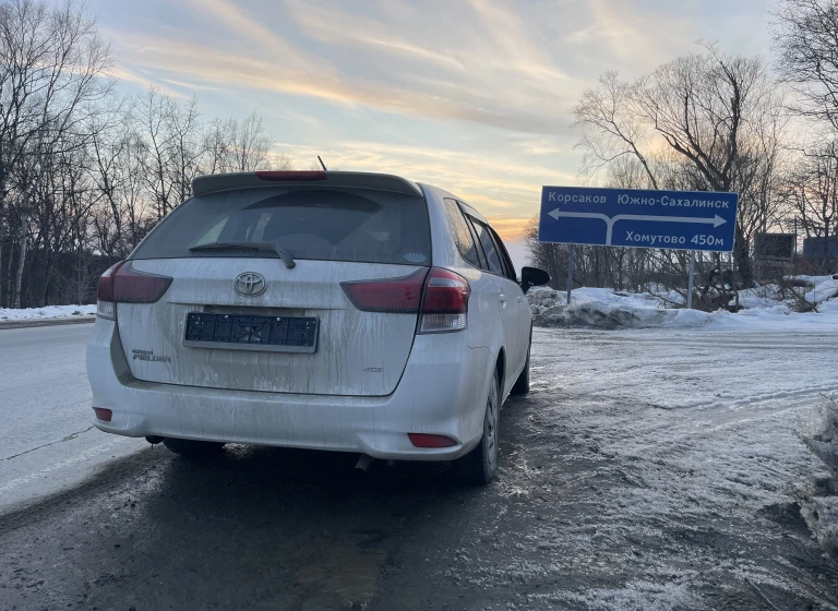 Toyota Corolla Fielder, 2019